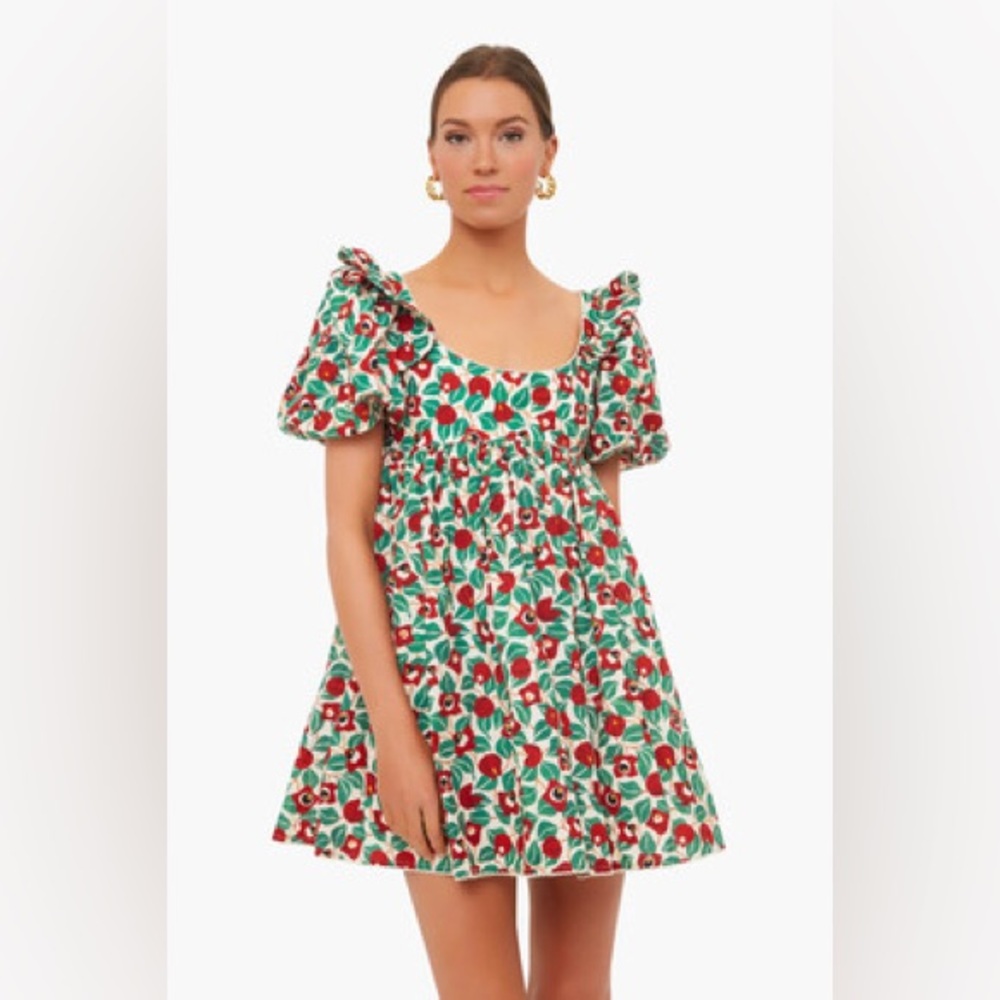 👀 Agua by Agua Bendita Opalo Warana Esmeralda Floral Mini Dress sz L pff slv